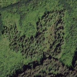 Satellite imagery of Crist Point, US