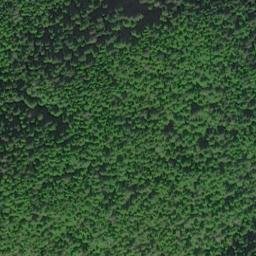 Satellite imagery of False Arden, US