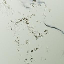 Satellite imagery of Unmarked Boundary Point 79, CA