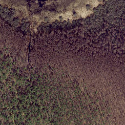 Satellite imagery of Siigunina, EE
