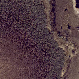 Satellite imagery of Siigunina, EE