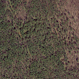 Satellite imagery of Siigunina, EE