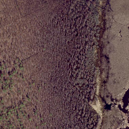 Satellite imagery of Siigunina, EE