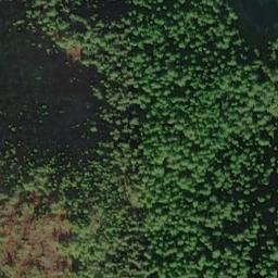 Satellite imagery of Point Lucan, US