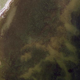 Satellite imagery of Pitkanina, EE