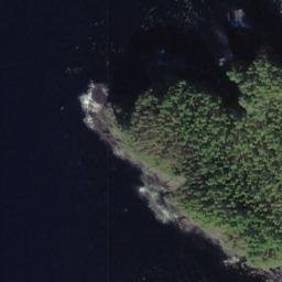 Satellite imagery of Column Point, US