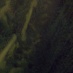 Satellite imagery of Pitkanina, EE