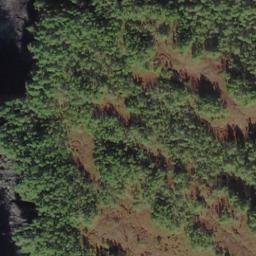 Satellite imagery of Column Point, US