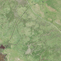 Satellite imagery of Saarenina, EE