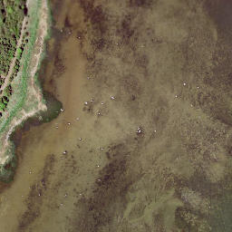 Satellite imagery of Kotkanina, EE