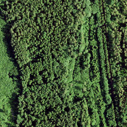 Satellite imagery of boundary_stone, NO