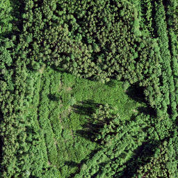 Satellite imagery of boundary_stone, NO
