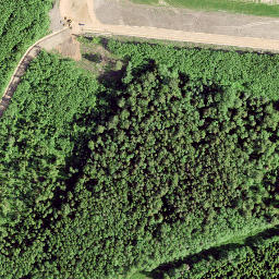 Satellite imagery of Urgu Zviedru Akmens, LV