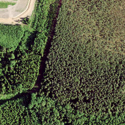 Satellite imagery of Urgu Zviedru Akmens, LV