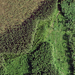 Satellite imagery of Urgu Zviedru Akmens, LV