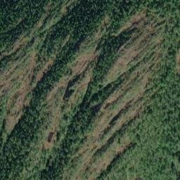 Satellite imagery of Bogert Point, US
