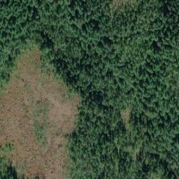 Satellite imagery of Bogert Point, US