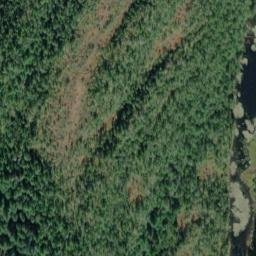 Satellite imagery of Bogert Point, US