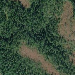Satellite imagery of Bogert Point, US