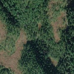 Satellite imagery of Bogert Point, US