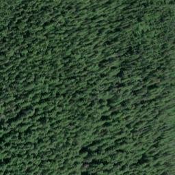 Satellite imagery of Prospect Point, US