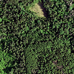 Satellite imagery of Rutu Mägi, EE