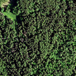 Satellite imagery of Rutu Mägi, EE