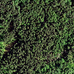 Satellite imagery of Rutu Mägi, EE