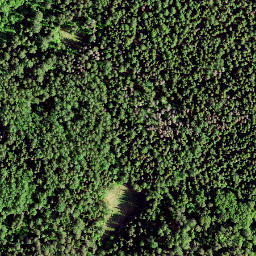 Satellite imagery of Rutu Mägi, EE