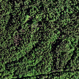 Satellite imagery of Rutu Mägi, EE