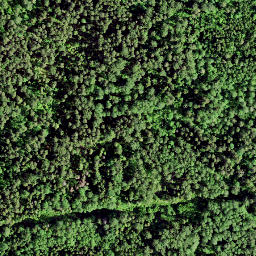 Satellite imagery of Rutu Mägi, EE