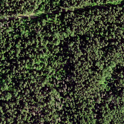 Satellite imagery of Rutu Mägi, EE