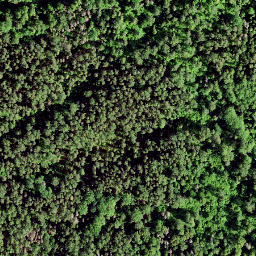 Satellite imagery of Rutu Mägi, EE