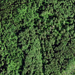 Satellite imagery of Rutu Mägi, EE