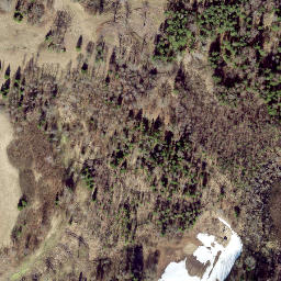 Satellite imagery of Kuutsemägi, EE