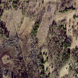 Satellite imagery of Kuutsemägi, EE