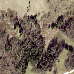 Satellite imagery of Kuutsemägi, EE