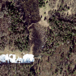 Satellite imagery of Kuutsemägi, EE