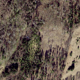 Satellite imagery of Kuutsemägi, EE