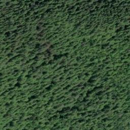 Satellite imagery of Sharp Point, US