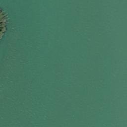 Satellite imagery of Sharp Point, US