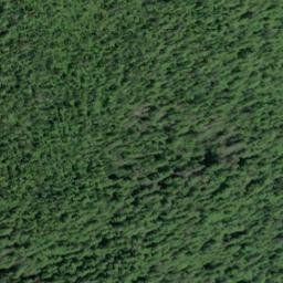 Satellite imagery of Whigg Placer Mine, US
