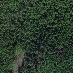 Satellite imagery of Station Point, US