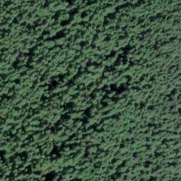 Satellite imagery of River Point, US