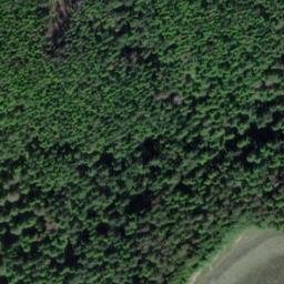 Satellite imagery of Station Point, US