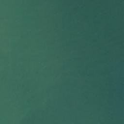 Satellite imagery of Sentinel Point, US