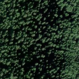 Satellite imagery of Sentinel Point, US