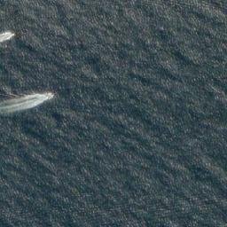 Satellite imagery of Nesvarden, NO