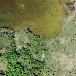 Satellite imagery of Loodenina, EE