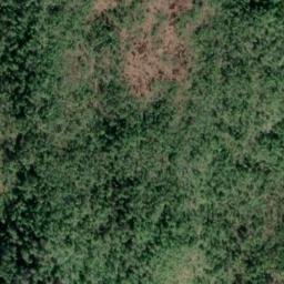 Satellite imagery of Point Satchrun, US